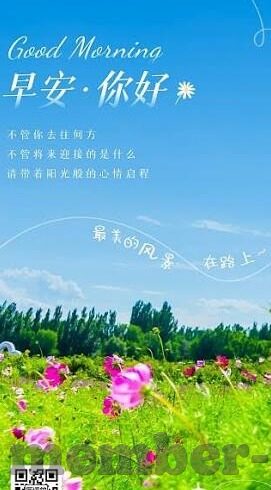 zqzq足球即时比分-ZQZQ足球即时比分，球迷的数字战场与情感纽带